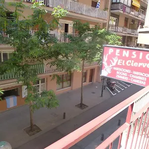 Penzion El Ciervo Lloret de Mar